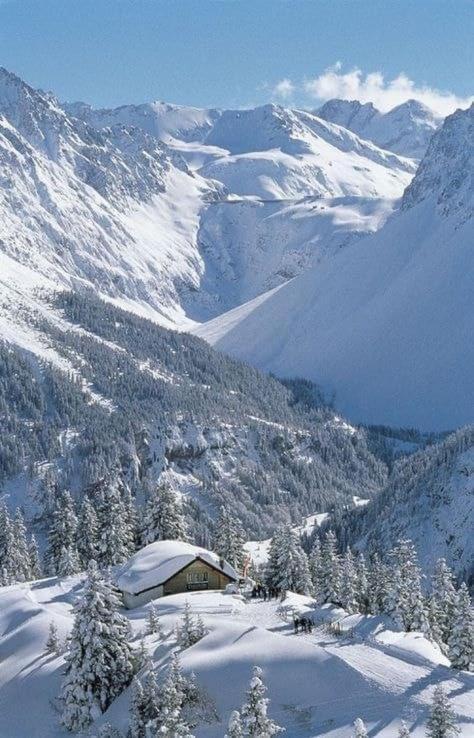 Finestra Sull'Adamello Apartamento Passo del Tonale Exterior foto
